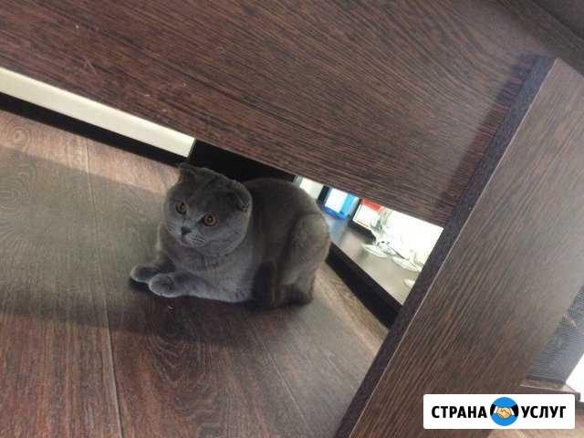 Вязка Ярославль - изображение 1