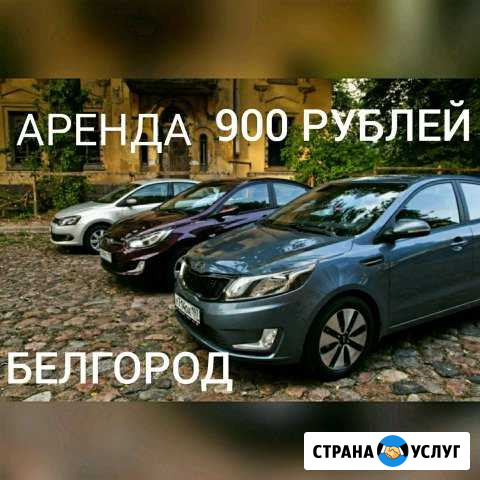 Аренда авто яндекс такси работа Белгород - изображение 1