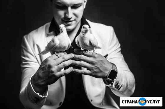 Фокусник Иллюзионист Каменск-Шахтинский