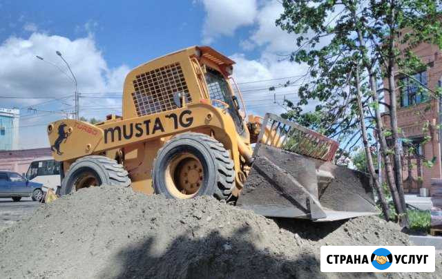 Аренда минипогрузчика Mustang 2109 Барнаул - изображение 1
