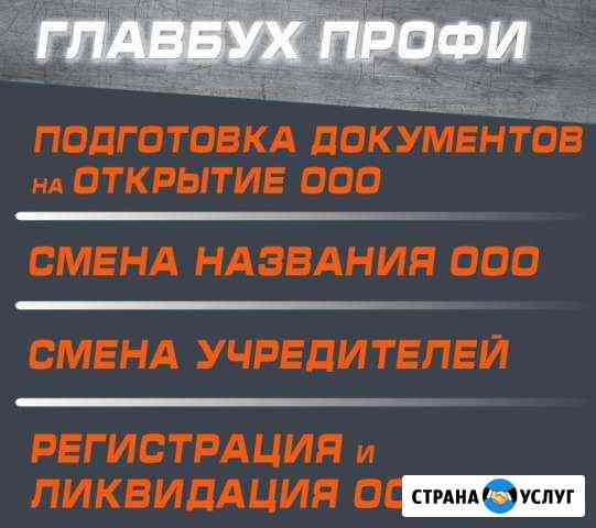 Регистрация, ликвидация, изменения в Устав, Егрюл Томск