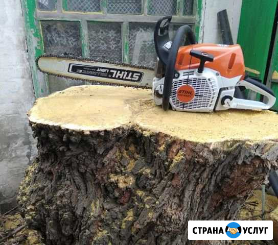 Спил деревьев Азов - изображение 1