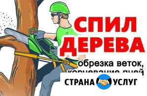 Спил деревьев Таганрог - изображение 1