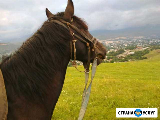 Грузоперевозки Карачаевск - изображение 1