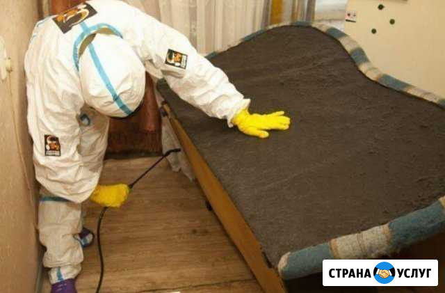 Уничтожение - клещи, клопы, кроты, крысы Калуга - изображение 1
