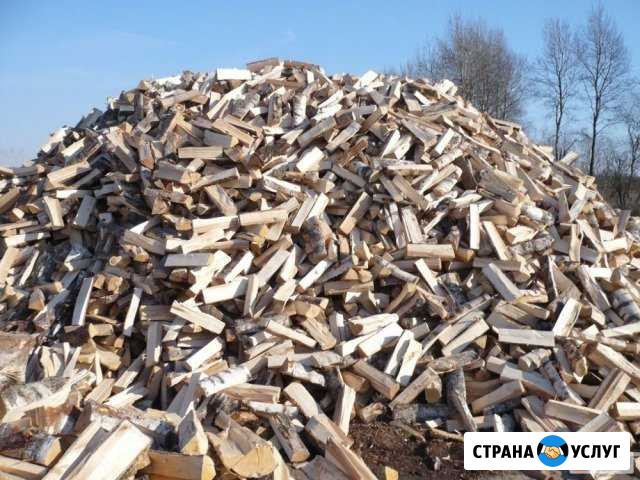 Дрова в Волховском р-не Волхов - изображение 1