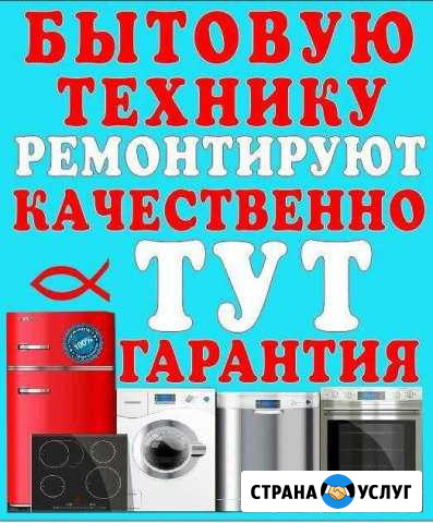 АсцХладовикРемонт холодильников и др. Быттехники Новосибирск - изображение 1