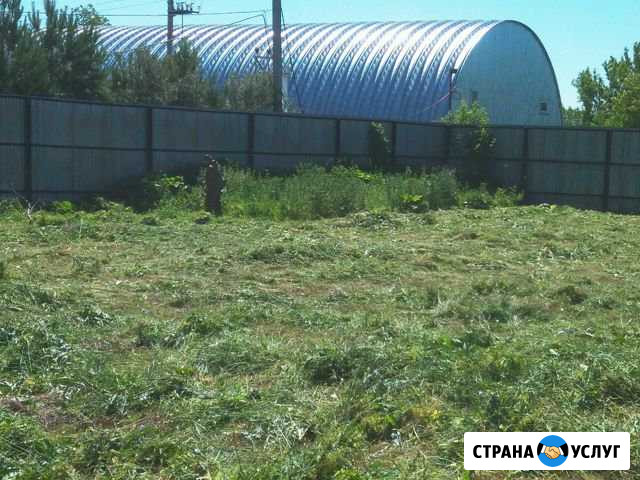 Покос, спил, уборка участков от зарослей Безенчук - изображение 1
