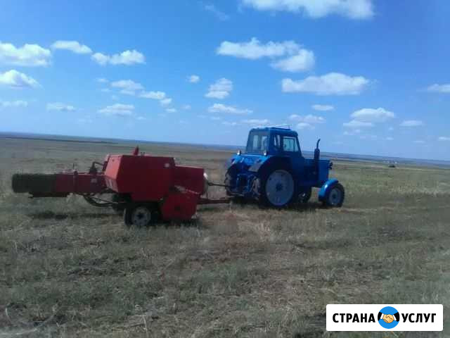 Тюкую пресую сено салому Красноармейск - изображение 1