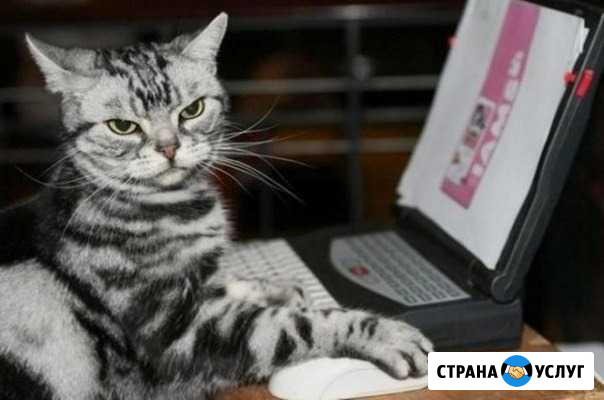 Ремонт компьютеров Компьютерная помощь Ставрополь - изображение 1
