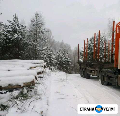 Услуги длинномера лесовоза Супонево - изображение 1