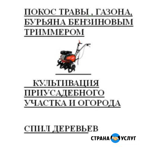 Покос травы, бурьяна. Культивация. Спил деревьев Белгород - изображение 1