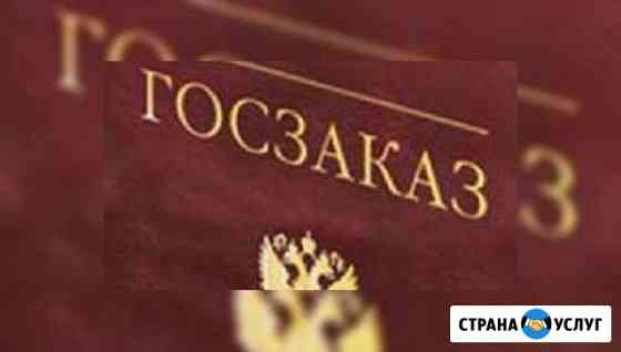 Помощь заказчикам и подрядчикам по 44 фз 223 фз Осинники