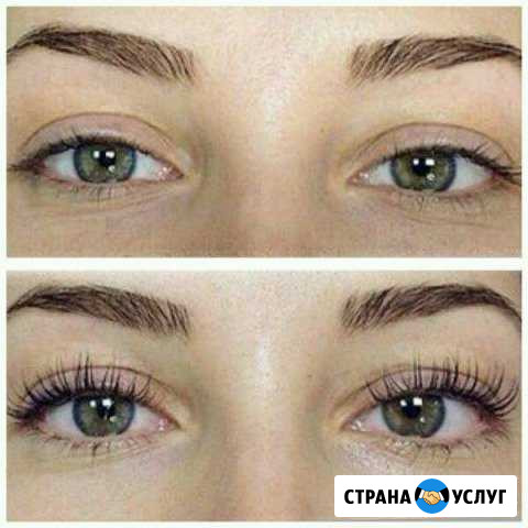 Окрашивание бровей, ламинирование ресниц Клин - изображение 1