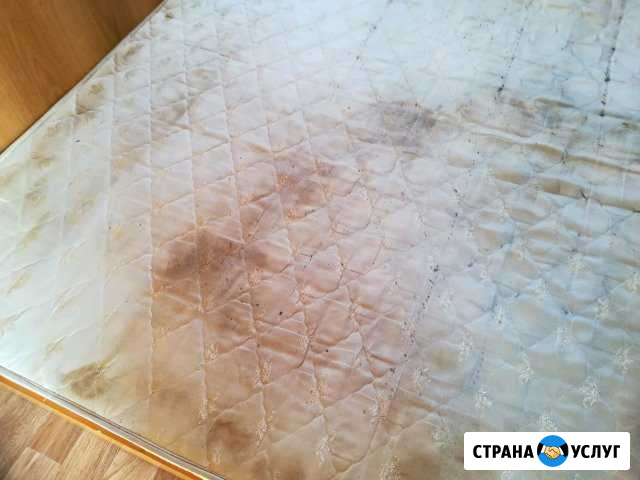 Химчистка авто, ковров и ковровых покрытий Сызрань - изображение 1