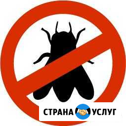 Дезинсекция (уничтожение любых насекомых) Алатырь - изображение 1