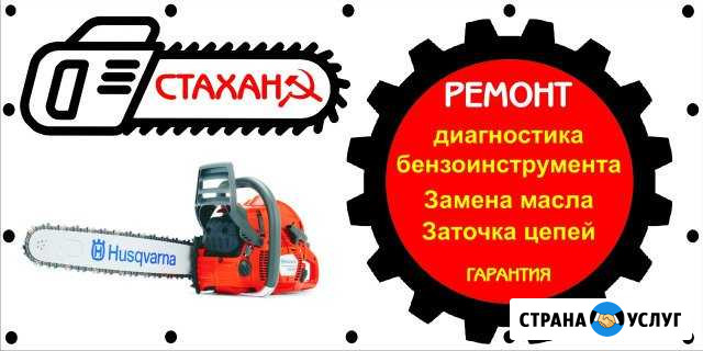 Ремонт бензопил, садовой техники Тольятти - изображение 1