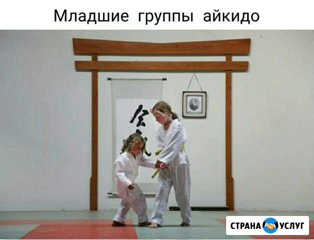 Занятия айкидо и самооборона для детей и взрослых Балаково - изображение 1