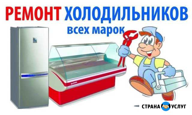 Ремонт холодильников в пос. Кадуй (район) Кадуй - изображение 1