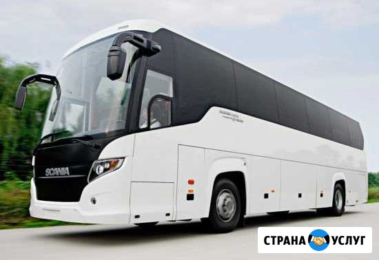 Аренда и заказ автобусов с водителем Москва - изображение 1