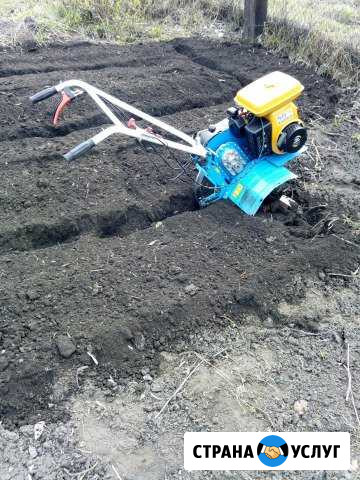 Вспашка огородов р.Орджоникидзевский Новокузнецк - изображение 1