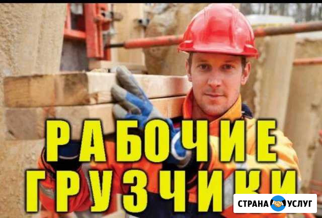 Разнорабочие Землекопы Подольск - изображение 1