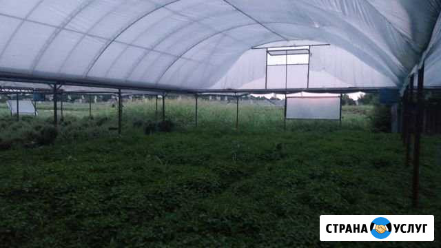 Изготовление теплиц, парников и металлоконструкций Хасавюрт - изображение 1