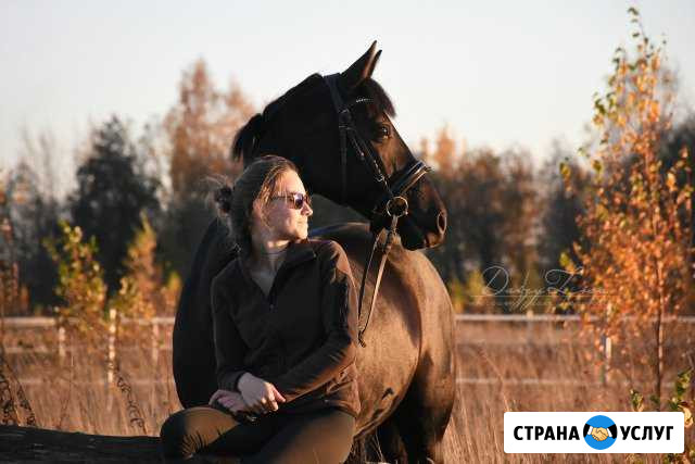 Фотосессии с лошадьми Старая - изображение 1
