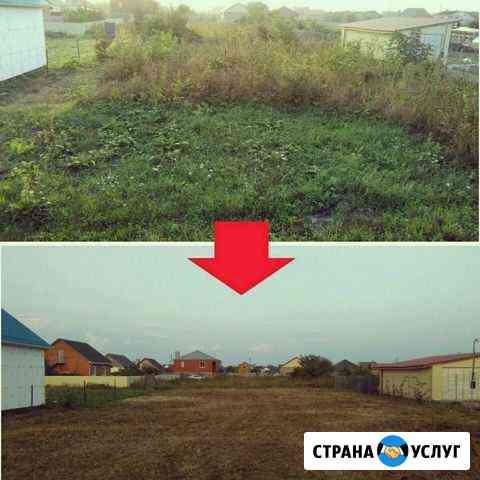 Покос травы Абинск