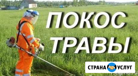 Покос травы Балахна - изображение 1