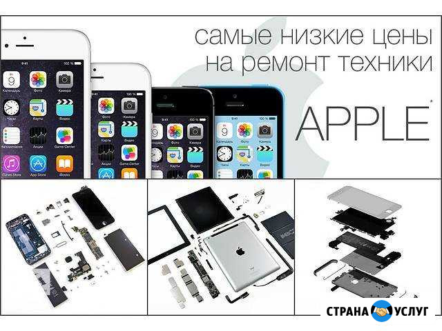 Сервисный центр Apple iPhone iMac Macbook Air iPad Санкт-Петербург - изображение 1