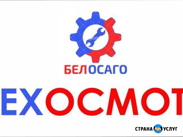Техосмотр Строитель - изображение 1