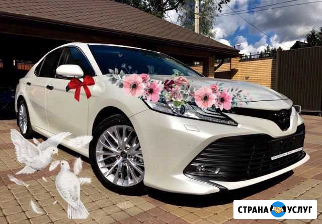 Аренда Авто VIP Такси Свадьба,Встречи, Выписки Минеральные Воды - изображение 1