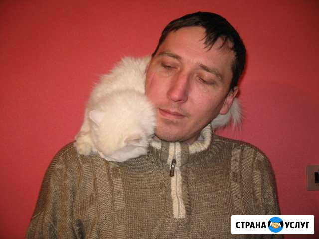 Мастер электрик, ремонтник Североморск - изображение 1