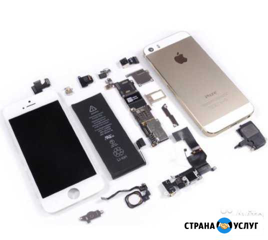 Ремонт техники apple Смоленск - изображение 1