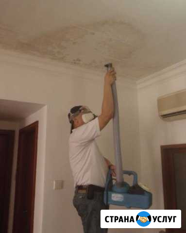 Профессиональная обработка от запаха, плесни Набережные Челны - изображение 1