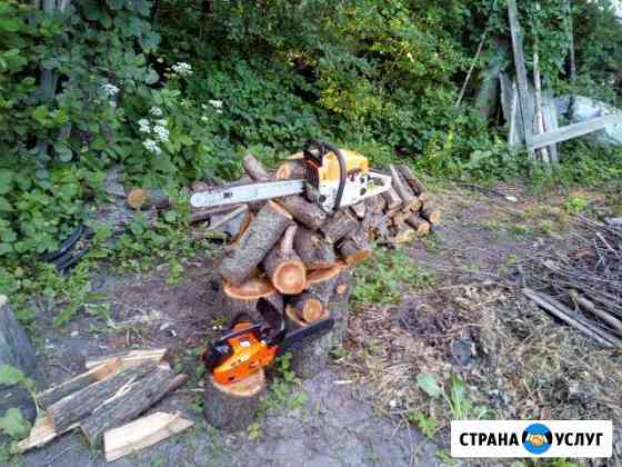 Производим спил и опиловку деревьев и кустарников Санкт-Петербург