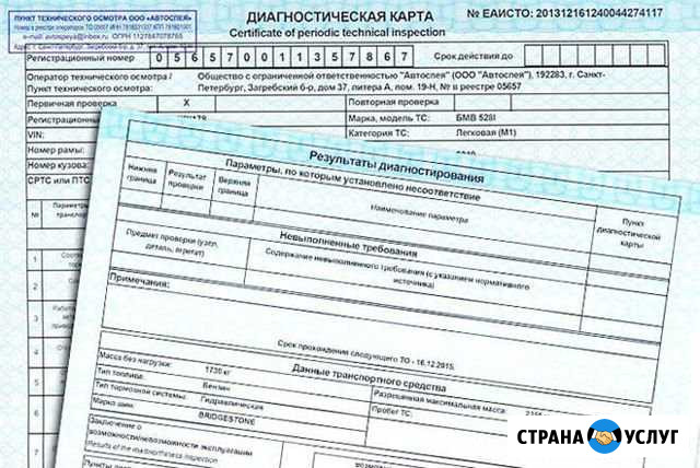 Диагностическая карта /техосмотр Елизаветинское - изображение 1