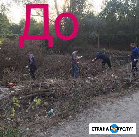 Спил деревьев уборка участков Батайск - изображение 1