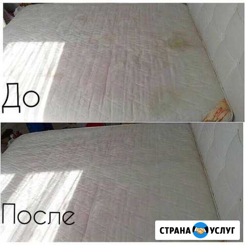 Чистка мягкой мебели и ковров Ижевск - изображение 1