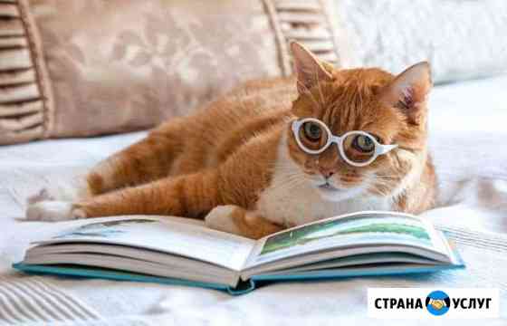 Русский язык и литература, огэ, егэ, олимпиады, дв Санкт-Петербург