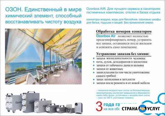 Удаляю плесень Сочи