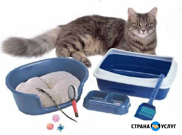 Присмотр за животными Великий Новгород - изображение 1