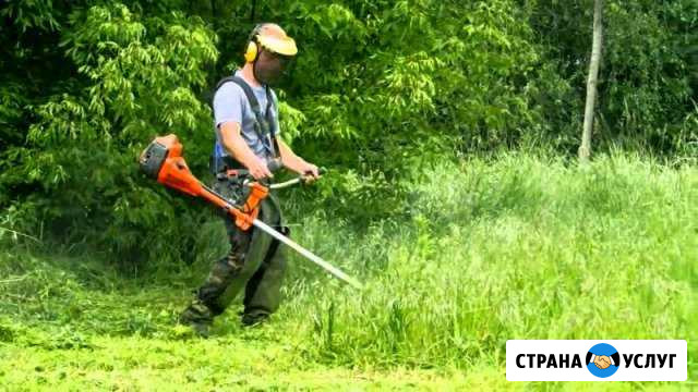 Покос травы, спил деревьев Краснодар - изображение 1