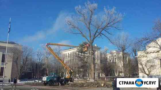 Спил деревьев. Чистка участков. Покос травы Ростов-на-Дону