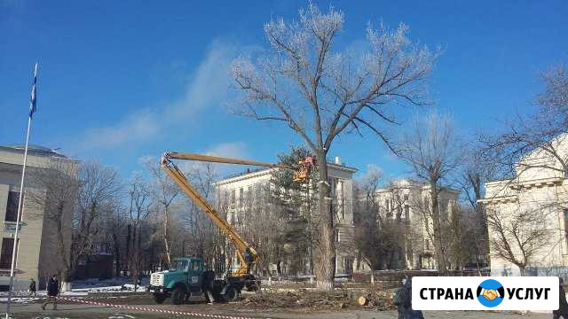 Спил деревьев. Чистка участков. Покос травы Ростов-на-Дону - изображение 1