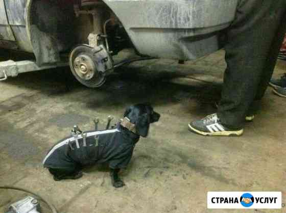 Автоэлектрик Брянск