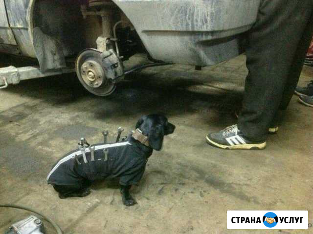 Автоэлектрик Брянск - изображение 1