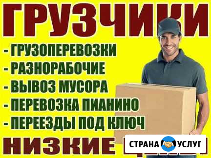 Грузчики с машиной Новодвинск - изображение 1
