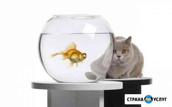 Обслуживание аквариума Санкт-Петербург